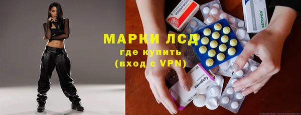 эйфоретик Аркадак
