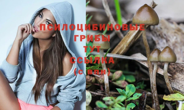 эйфоретик Аркадак
