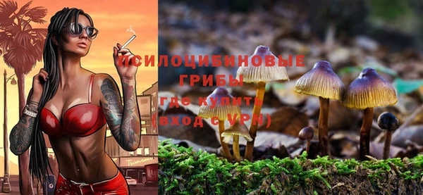 гидропоника Армянск